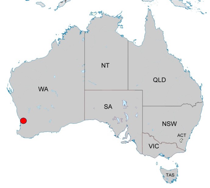 Perth Perth