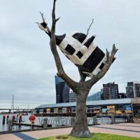 Docklands Melbourne, Victoria<br>
"Cow up a Tree" von John Kelly<br>
Wie kommt die Kuh bloß auf den Baum? Docklands Melbourne, Victoria