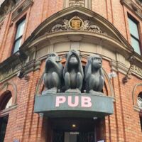3 Wise Monkeys Pub Sydney, New South Wales 3 Wise Monkeys Pub Sydney, New South Wales