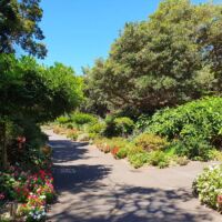 Royal Botanic Gardens von Sydney, New South Wales Royal Botanic Gardens von Sydney, New South Wales