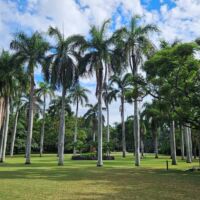 Botanical Gardens Brisbane, Queensland