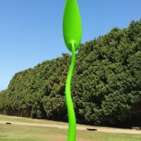 "Ipomoea" von Phil Price