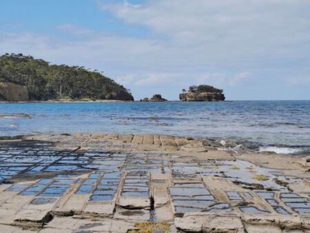 Tessellated Pavement in Eaglehawk Neck, Tasmania<br>
Sieht aus wie gefliest - und keiner weiß, warum Tessellated Pavement in Eaglehawk Neck, Tasmania