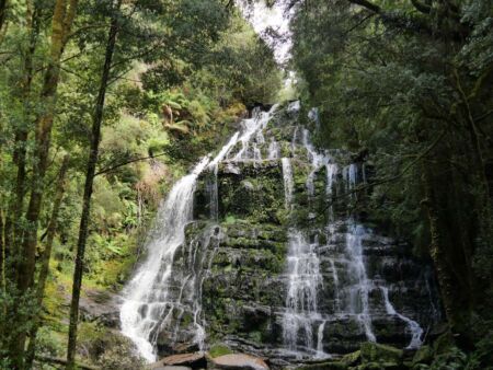 Nelson Falls am Lyell Highway, Tasmania Nelson Falls am Lyell Highway, Tasmania