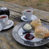 Pyengana Dairy in Pyengana, Tasmania<br>
Devonshire Tea - ganz stilvoll AUS-TAS-2.15_liegewiese_mona_hobart_tasmania