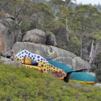 Fish Boulder in Derby, Tasmania AUS-TAS-2.15_liegewiese_mona_hobart_tasmania