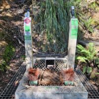 Schuhputz-Apparat an der Frenchmans Cap Suspension Bridge, Tasmania<br>
Die Boot Cleaning Stations dienen dem Schutz der Natur und Biodiversität AUS-TAS-2.15_liegewiese_mona_hobart_tasmania