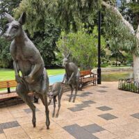 "Kangaroos on the Terrace" von Joan Walsh-Smith auf der Stirling Terrace in Perth, Western Australia "Kangaroos on the Terrace" von Joan Walsh-Smith auf der Stirling Terrace in Perth, Western Australia