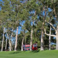 Kings Park Perth, Western Australia<br>
Einer der größten innerstädtischen Parks der Welt Kings Park Perth, Western Australia