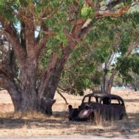 Kurz vor Manjimup, Western Australia<br>
Fast schon ein Hauch von Outback Kurz vor Manjimup, Western Australia