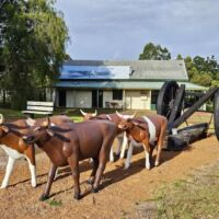 Historical Precinct Pemberton, Western Australia Historical Precinct Pemberton, Western Australia