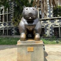 Perro (Medellín, Colombia)