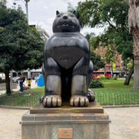 Gato (Medellín, Colombia)