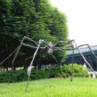 Spider (Washington D.C.)