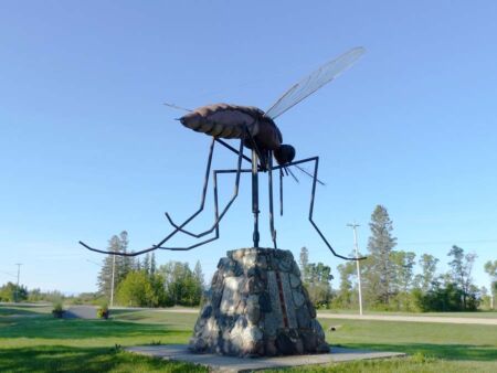 Giant Mosquito in Komarno, Manitoba Giant Mosquito in Komarno, Manitoba