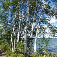 Riding Mountain National Park, Manitoba