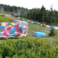 King's Cove, Neufundland<br>
Tolle Idee für einen Zaun King's Cove, Neufundland