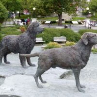 St. John's Harbourside Park, Neufundland