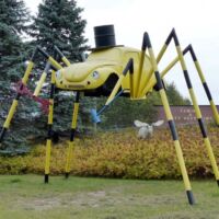 Volkswagen Spider Kenora, Ontario