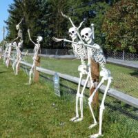 Skelette am Highway 5 kurz vor Dunkirk, New York