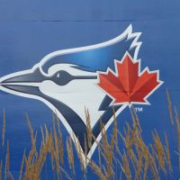 Blue Jays Toronto, Ontario