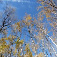 Prince Albert National Park, Saskatchewan