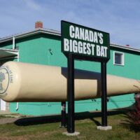 Canada's Biggest Bat in Battleford, Saskatchewan