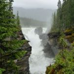 Athabasca Falls am Icefields Parkway im Jasper National Park, Alberta
