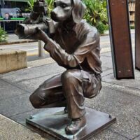 Paparazzi Dog (Brisbane, Queensland)