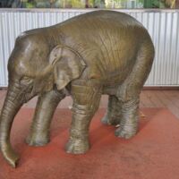 Perth Zoo, Western Australia<br>
"Wild Baby Indian Elephant" von Gillie and Marc Wild Baby Indian Elephant (Perth, Western Australia)