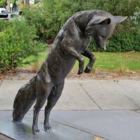 Windsor Park Perth, Western Australia<br>
"Blaze - Wild Baby Arctic Fox" von Gillie and Marc Blaze - Wild Baby Arctic Fox (Perth, Western Australia)