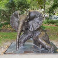 Windsor Park Perth, Western Australia<br>
"Aldo - Wild Baby African Elephant" von Gillie and Marc Aldo - Wild Baby African Elephant (Perth, Western Australia)