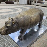 Elizabeth Quay Perth, Western Australia<br>
"Maya - Wild Baby Hippo" von Gillie and Marc Maya - Wild Baby Hippo (Perth, Western Australia)