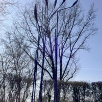 Flügelformen in immer neuer Bewegungsvielfalt (Dossenheim, Germany)