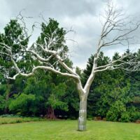 National Gallery of Art Sculpture Garden Washington D.C.<br>
"Graft" von Roxy Paine Graft (Washington D.C.)