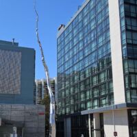 San Francisco, California<br>
"Node" von Roxy Paine Node (San Francisco, California)