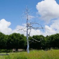 North Carolina Museum of Art Raleigh, North Carolina<br
"Askew" von Roxy Paine Askew (Raleigh, North Carolina)