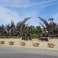 Animals Always (St. Louis, Missouri)
