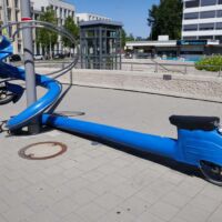 Bluebird (Neumarkt in der Oberpfalz, Germany)