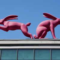 Nürnberg, Germany<br>
„Sitz- und Flitzhase“ von Rosalie Sitz- und Flitzhase (Nürnberg, Germany)