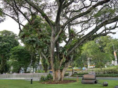 Singapore Management University Singapore Management University