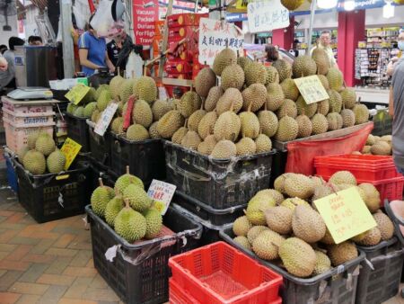 Durians in Chinatown, Singapore<br>
Die Durians riechen so intensiv, dass sie in Singapur in Hotels, U-Bahnen und Taxis verboten sind Durians in Chinatown, Singapore