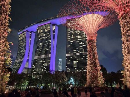 Gardens by the Bay, Singapore<br>
Supertrees und Marina Bay Sands Hotel bei Nacht Gardens by the Bay, Singapore