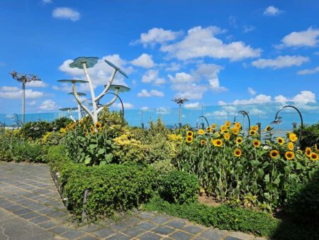 Sunflower Garden im Changi Airport, Singapore<br>
Freizeitpark + Naturpark + Shoppingmall + Flughafen in einem Sunflower Garden im Changi Airport, Singapore