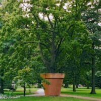 Französischer Garten Celle, Germany<br>
"Hainbuche im Blumentopf" von Timm Ulrichs Hainbuche im Blumentopf (Celle, Germany)