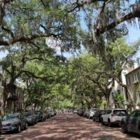Straßenzug in Savannah, Georgia<br>
Leben im Schatten alter Bäume und unter Spanischem Moos Leben im Schatten alter Bäume und unter Spanischem Moos