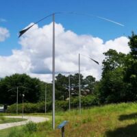 "Flight Wind Reeds" von Mary und Bill Buchen