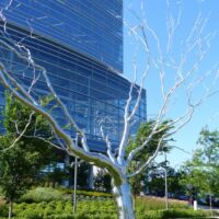 Sculpture Milwaukee on Wisconsin Avenue in Milwaukee, Wisconsin<br>
"Cleft" von Roxy Paine Cleft (Milwaukee, Wisconsin)