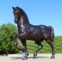 "The American Horse" von Nina Akamu