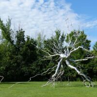 Frederik Meijer Gardens in Grand Rapids, Michigan<br>
"Neuron" von Roxy Paine Neuron (Grand Rapids, Michigan)